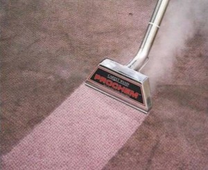 steam carpet cleaning